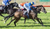 Boutique Training Stable Vacancy